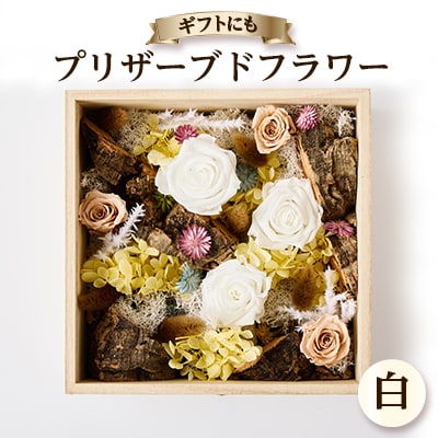 プリザーブドフラワー白