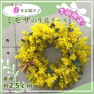 【2027年3月より順次発送予定】日出町から春をお届け♪ふわふわのミモザをたっぷり使ったリース
