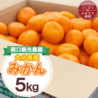 温州みかん約5キロ