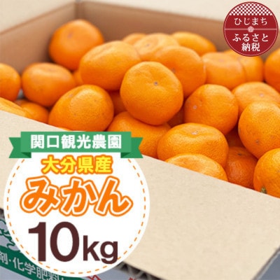 温州みかん約10キロ