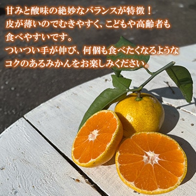 温州みかん約10キロ
