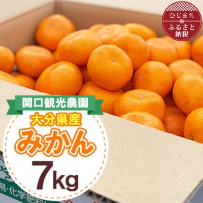 温州みかん約7キロ