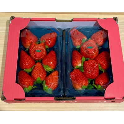 野上農園の土耕栽培ベリーツ 計600g