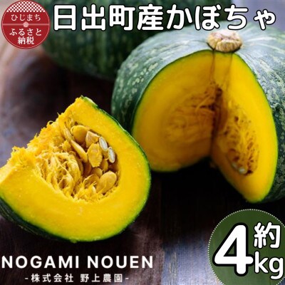 日出町産かぼちゃ　約4kg