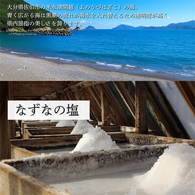 炭二郎の塩「家康」