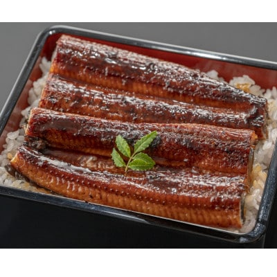 国産うなぎ蒲焼2尾(日出町)