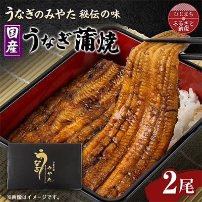 国産うなぎ蒲焼2尾(日出町)