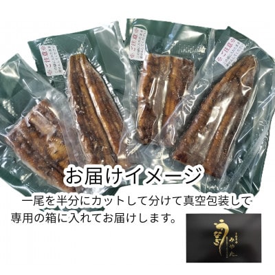 国産うなぎ蒲焼2尾(日出町)
