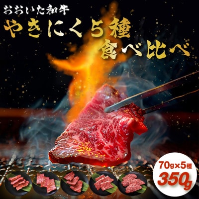 【訳あり】おおいた和牛お試し食べ比べ焼肉5種セット (合計350g) (日出町)