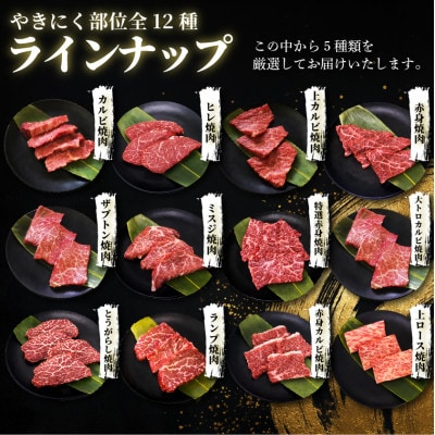 【訳あり】おおいた和牛お試し食べ比べ焼肉5種セット (合計350g) (日出町)