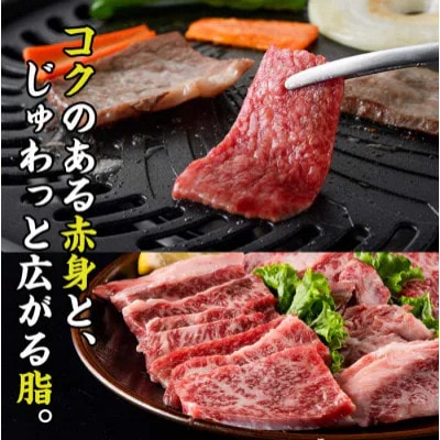 おおいた和牛 焼肉用 300g