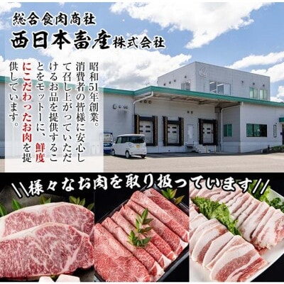 おおいた和牛 ヒレ塊 1本 (約4kg)