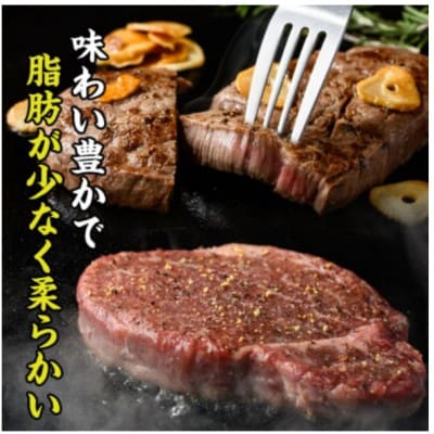 おおいた和牛 ヒレブロック (約1kg)