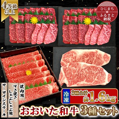 おおいた和牛3種セット 合計1.66kg(サーロインステーキ・すき焼き/しゃぶしゃぶ用・焼肉用)