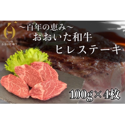 おおいた和牛 ヒレステーキ 約400g