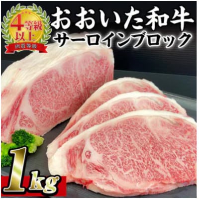 ���������a�� �T�[���C���u���b�N�@1kg