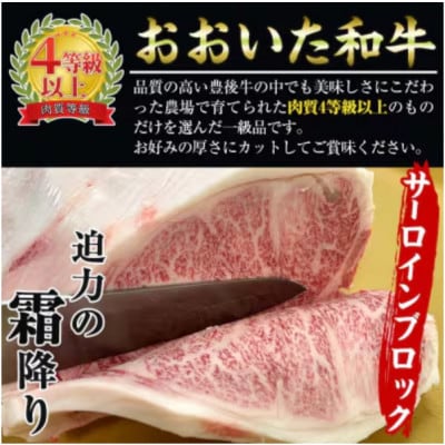 おおいた和牛 サーロインブロック　2kg