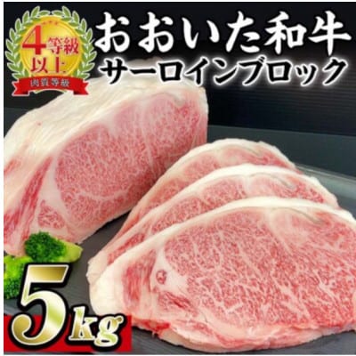 ���������a���T�[���C���u���b�N 5kg