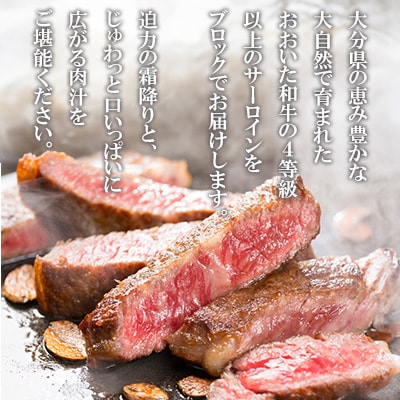 おおいた和牛サーロインブロック 5kg