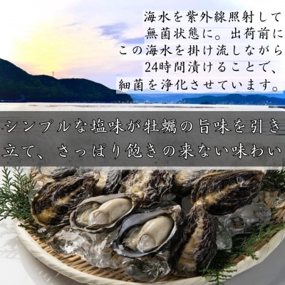 ひとくち 真牡蠣 　海雫　(20個入り)