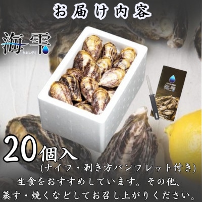 ひとくち 真牡蠣 　海雫　(20個入り)