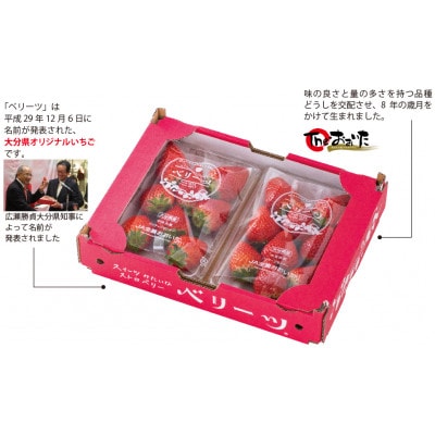 ベリーツ　(270g×2P)(日出町)