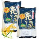 【令和7年産】福岡県産ブランド米「元気つくし」白米10kg