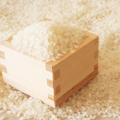 【令和7年産】福岡県産ブランド米「元気つくし」無洗米10kg