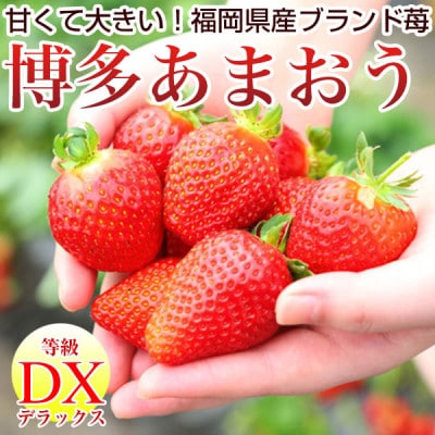 博多あまおう いちご DX(デラックス) 270g×2パック