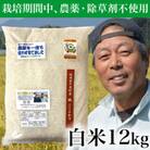 【令和5年産】コシヒカリ　農薬不使用(栽培期間中)  福岡県芦屋町産 〈白米〉12kg 　