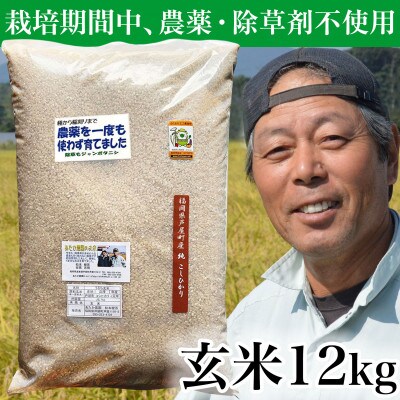 【令和5年産】玄米 農薬不使用(栽培期間中)  福岡県芦屋町産コシヒカリ 〈玄米〉12kg