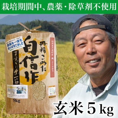 【令和7年産】玄米 農薬不使用(栽培期間中)  福岡県芦屋町産コシヒカリ 〈玄米〉5kg