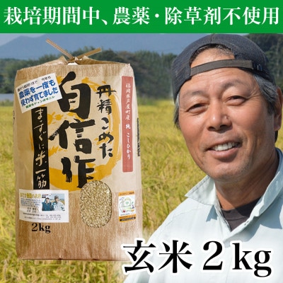 【令和7年産】玄米 農薬不使用(栽培期間中)  福岡県芦屋町産コシヒカリ 〈玄米〉2kg