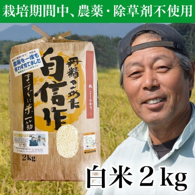 【令和7年産】コシヒカリ　農薬不使用(栽培期間中)  福岡県芦屋町産 〈白米〉2kg 　