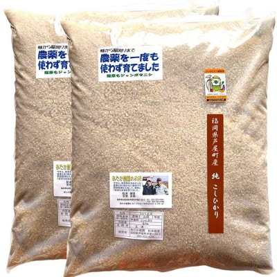 【令和8年産】玄米 農薬不使用(栽培期間中) 福岡県芦屋町産コシヒカリ〈玄米〉10kg