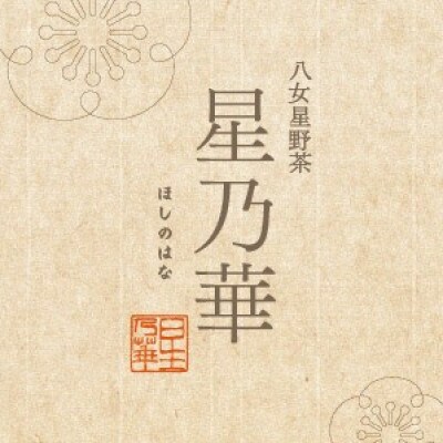(八女茶)八女星野茶星乃しずく茶　伝統本玉露60g　有田焼茶碗付き
