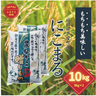 【令和6年産】福岡県産　にこまる　白米5kg×2　計10kg
