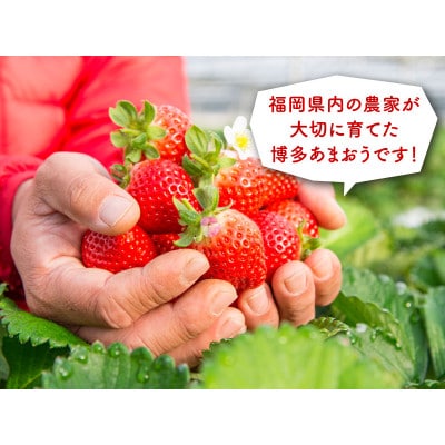 博多あまおう250g×4パック(芦屋町)