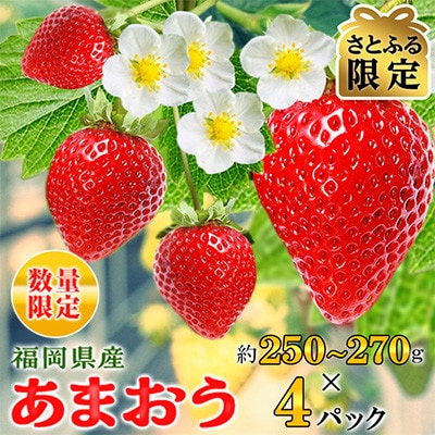 【さとふる限定】【数量限定】福岡県産あまおう約250~270g×4P(2027年2月以降順次発送) | ふるさと納税のお礼品