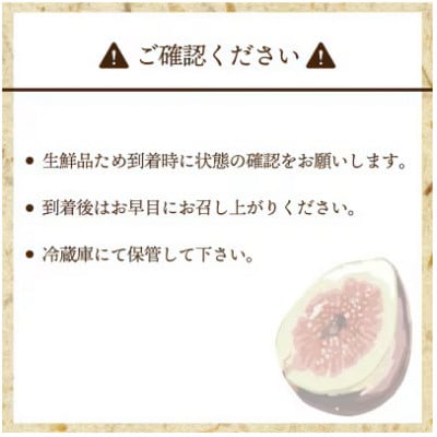 2026年8月上旬～10月下旬順次発送 福岡県ブランドいちじく とよみつひめ 300g×4P 芦屋町