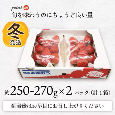 【2026年12月上旬～27年1月下旬発送予定】博多あまおう(冬)250g~270g×2P(芦屋町)