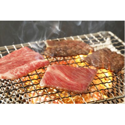 博多和牛肩ロース焼肉用・博多和牛生ハンバーグ詰め合わせ(芦屋町)