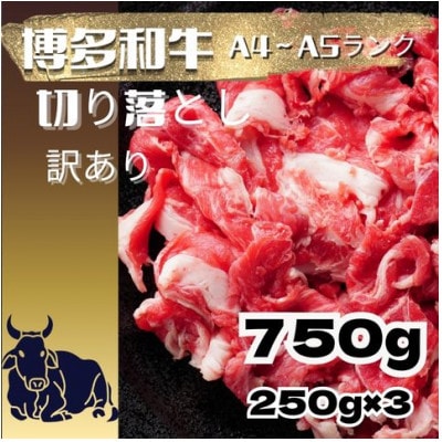 【訳あり】【A4～A5ランク】博多和牛切り落とし750g (250g×3)(芦屋町)