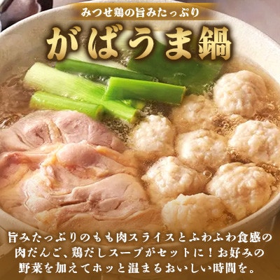 みつせ鶏 がばうま鍋(鶏だし)3～4人分×2袋　(吉野ヶ里町)
