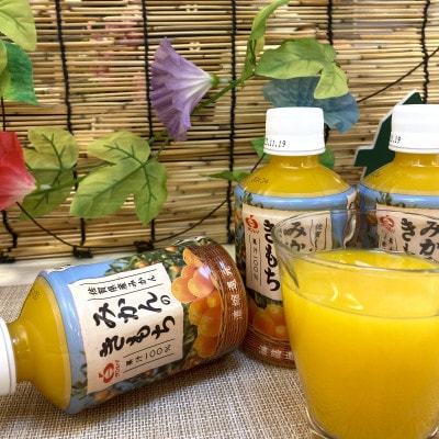 みかんのきもち　280ml×24本　吉野ヶ里町