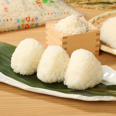 【先行受付】令和8年産 さがびより 白米 10kg (5kg×2袋)
