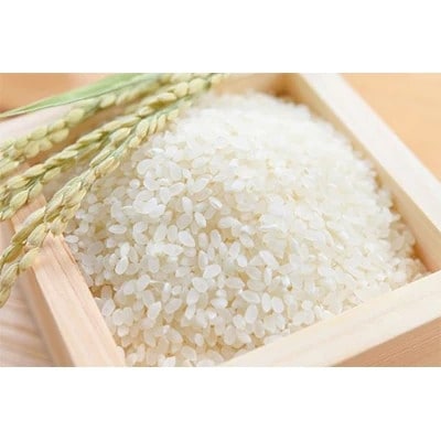 【先行受付】令和8年産 さがびより 白米 10kg (5kg×2袋)