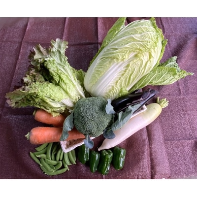 よしのがり野菜セット(8品)