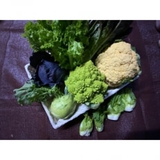 イタリア野菜セット(7品) | ふるさと納税のお礼品