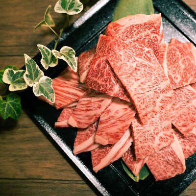 佐賀牛 焼肉用切り落とし 500g【吉野ヶ里町】